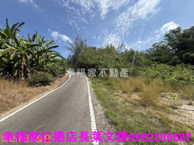 玉井農地-9