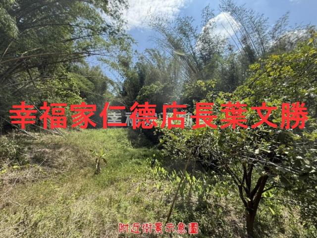 玉井農地-8