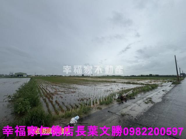 台南西港農地-2