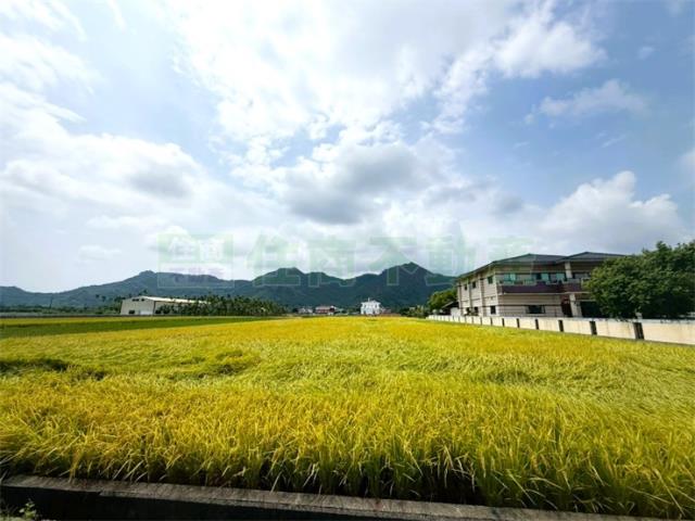 高雄美濃農地-2