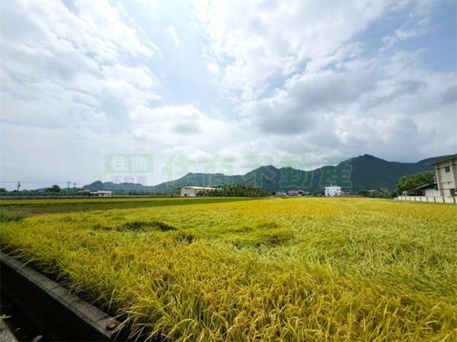 高雄美濃農地-3