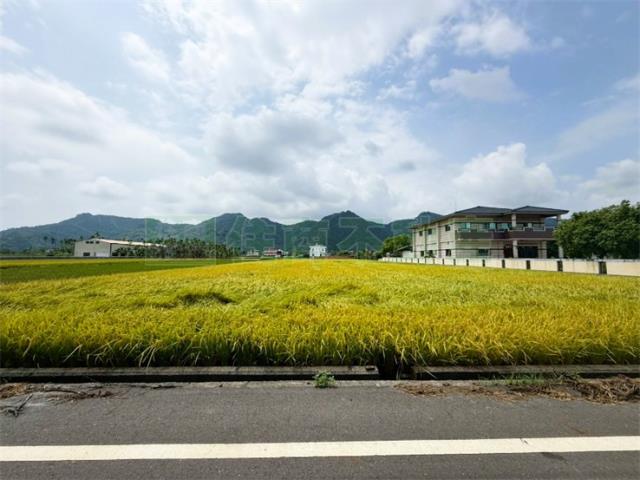 高雄美濃農地-4