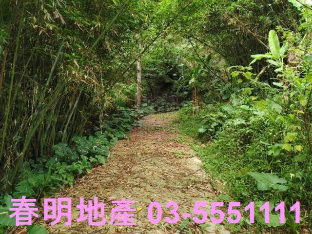 關西農地-1