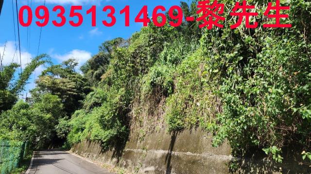 芎林林地-1