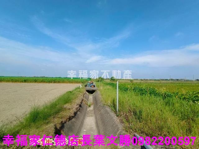 將軍農地-12