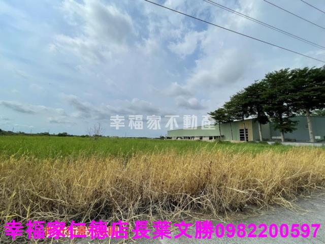 台南農地-15