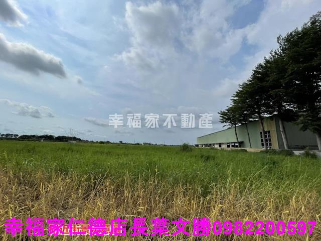 台南農地-7
