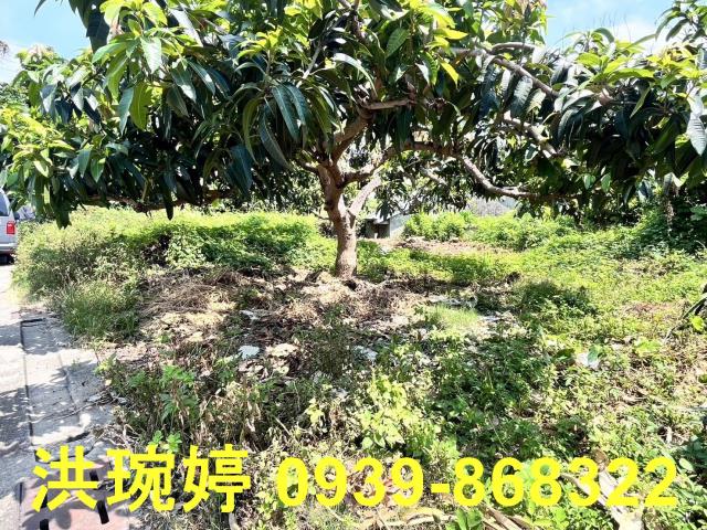 彰化芬園住宅地-4