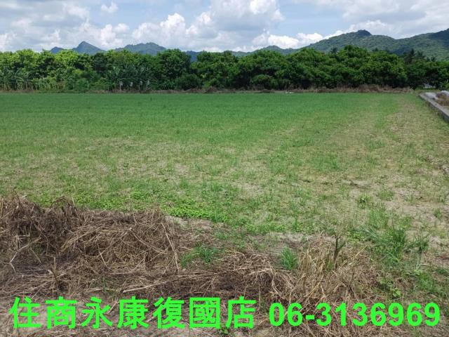 高雄旗山農地-1