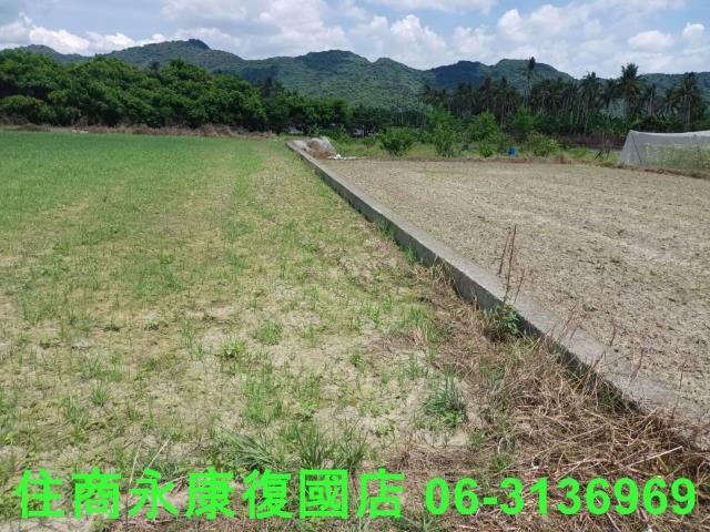 高雄旗山農地-14