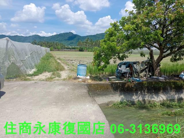 高雄旗山農地-4