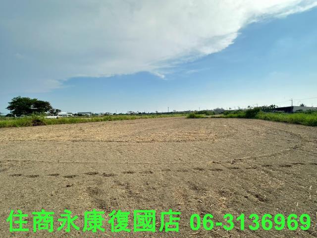台南仁德農地-7