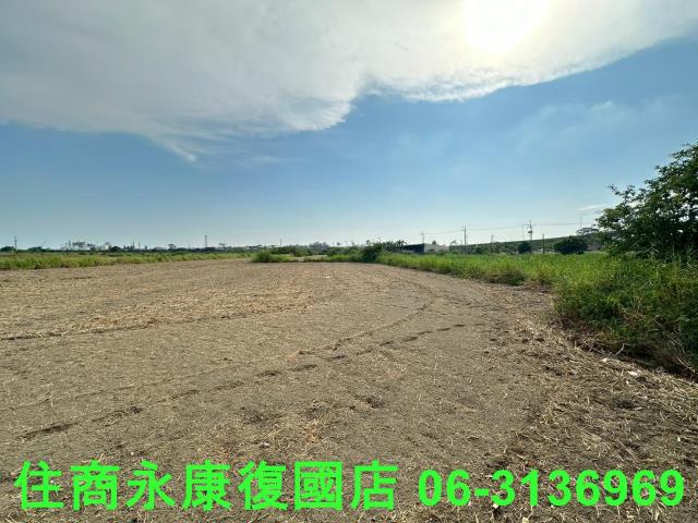 台南仁德農地-9