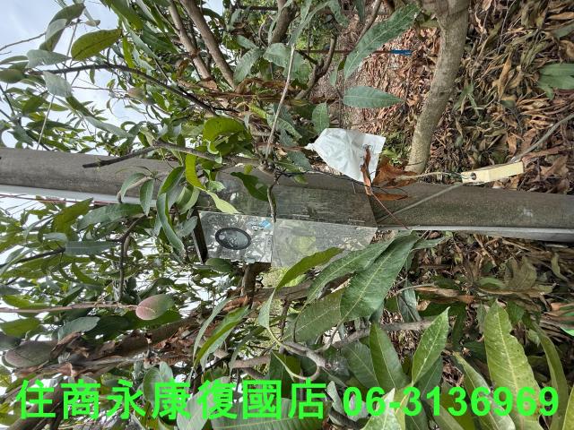 台南楠西農地-9