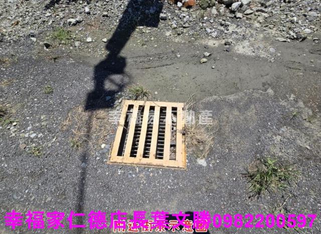 台南仁德農地-13