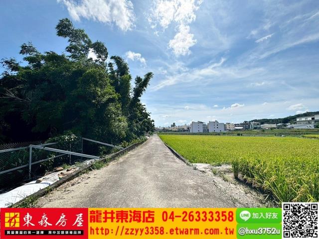 大肚農地-1