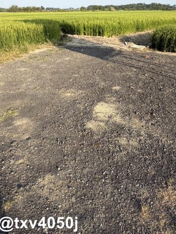官田住宅地-2
