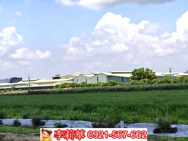 台南農地-6