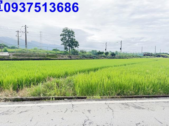 宜蘭頭城農地-10