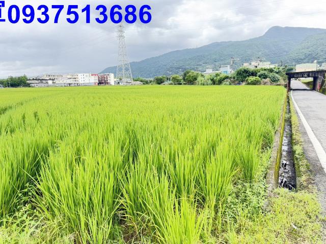 宜蘭頭城農地-4