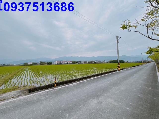 宜蘭礁溪農地-15