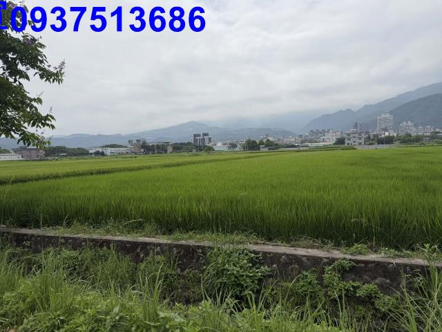 宜蘭礁溪農地-12