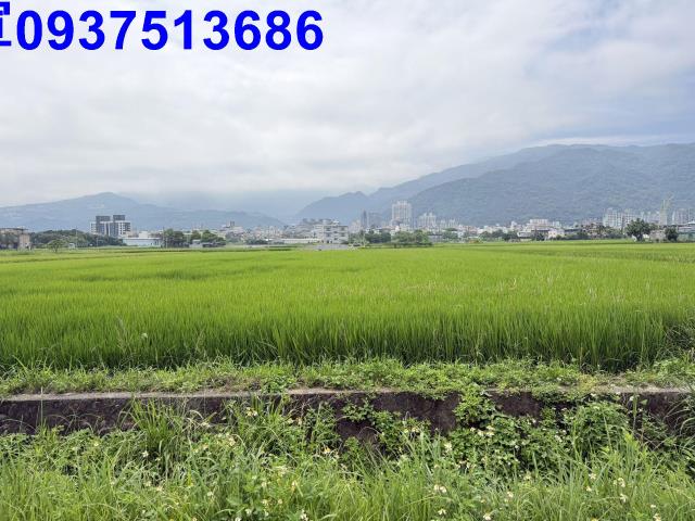 宜蘭礁溪農地-1