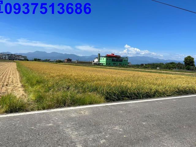 壯圍農地-4