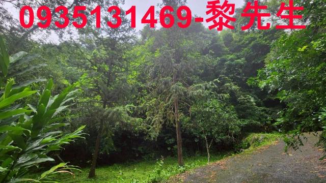 橫山林地-3