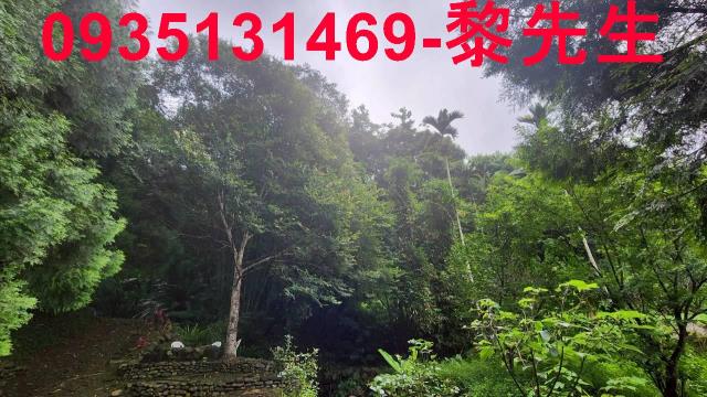 橫山林地-10