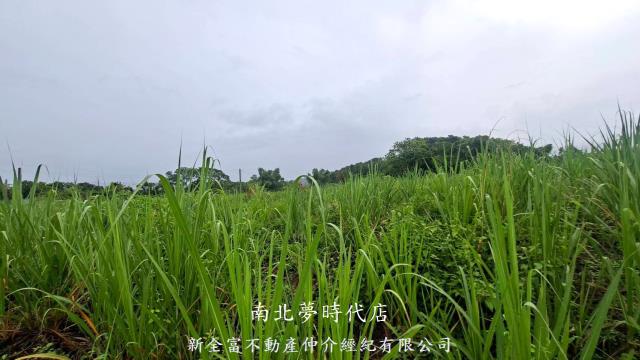 楠西農地-13