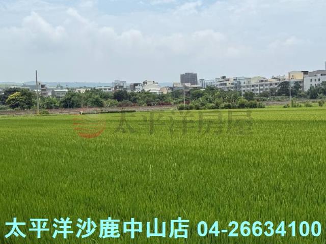 沙鹿建地-5