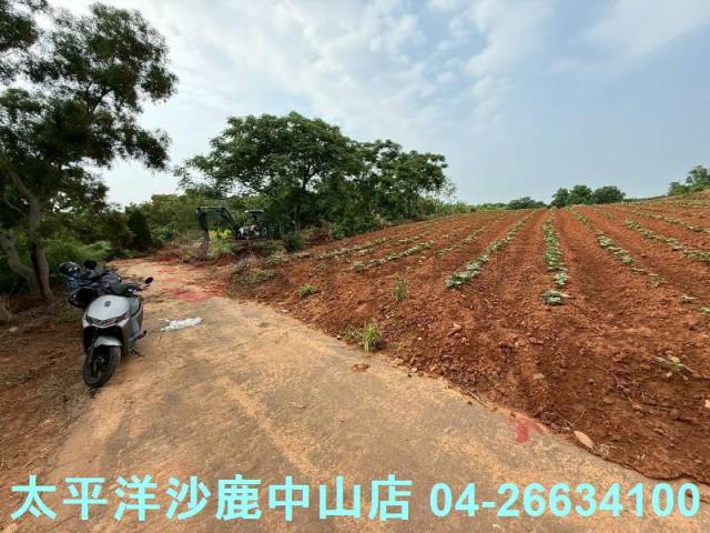 沙鹿保護地-2