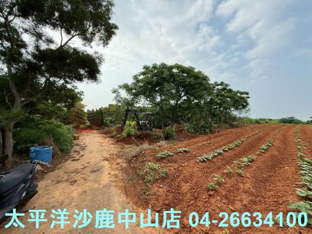 沙鹿保護地-3