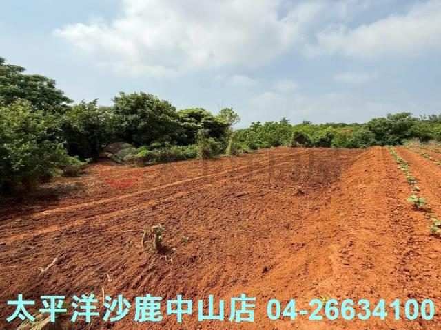 沙鹿保護地-4