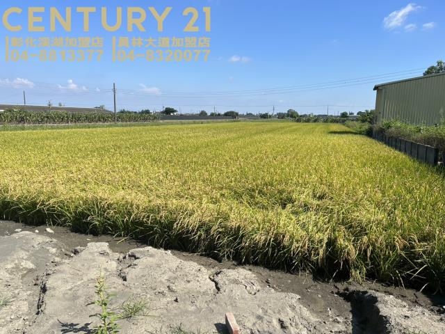 彰化二林農地-7