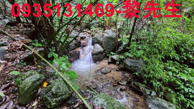 新竹橫山林地-4