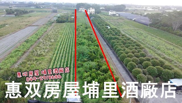 埔里農地-1