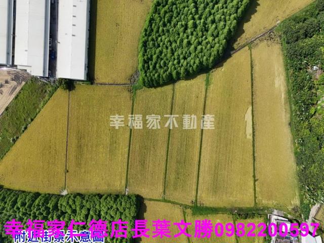 烏日農地-4