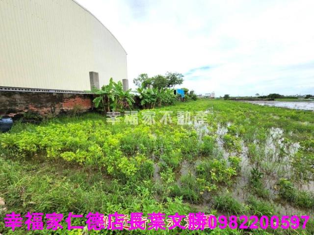 台南農地-11