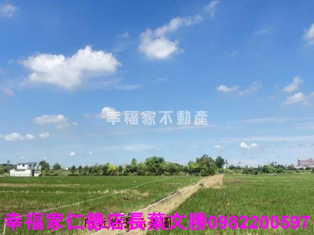 台南柳營農地-11