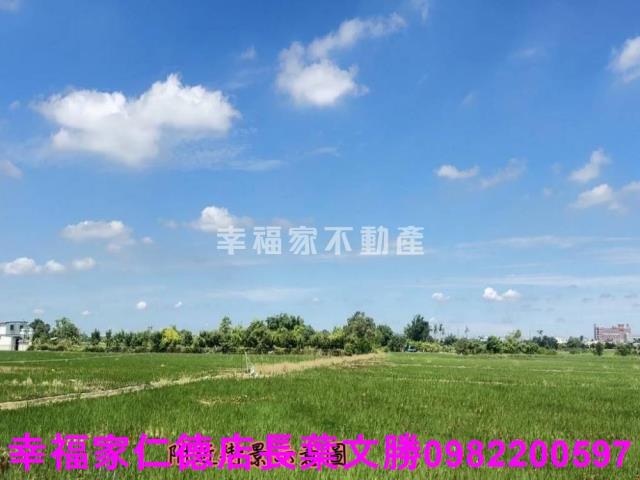 台南柳營農地-13