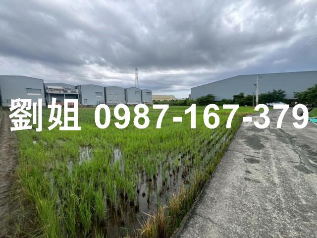 高雄仁武農地-1