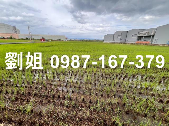 高雄仁武農地-2