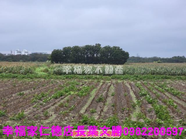 台南新市農地-8