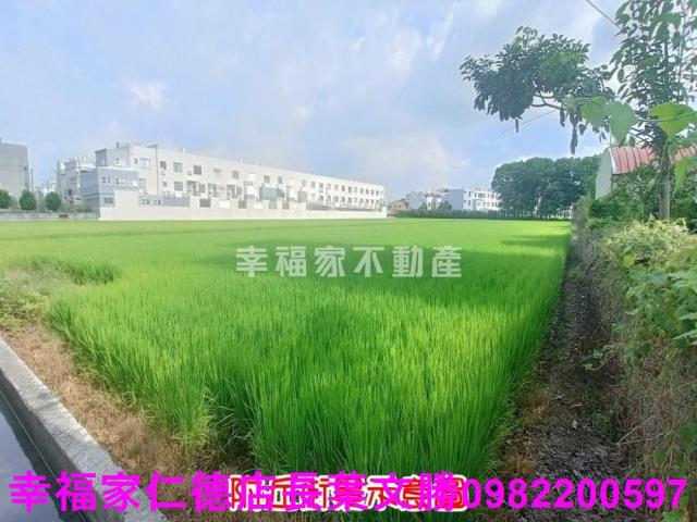台南六甲農地-10