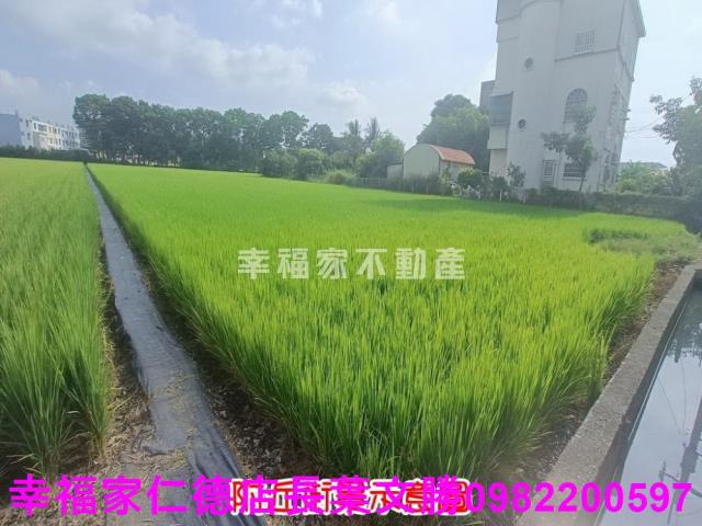 台南六甲農地-14