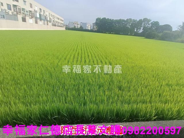 台南六甲農地-6