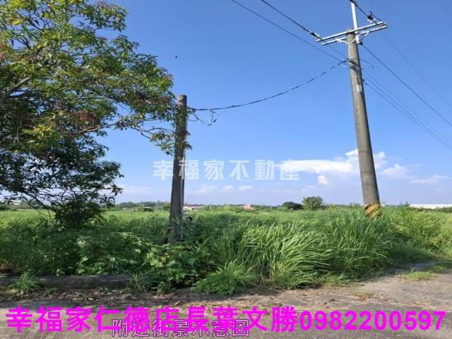 台南新化農地-11