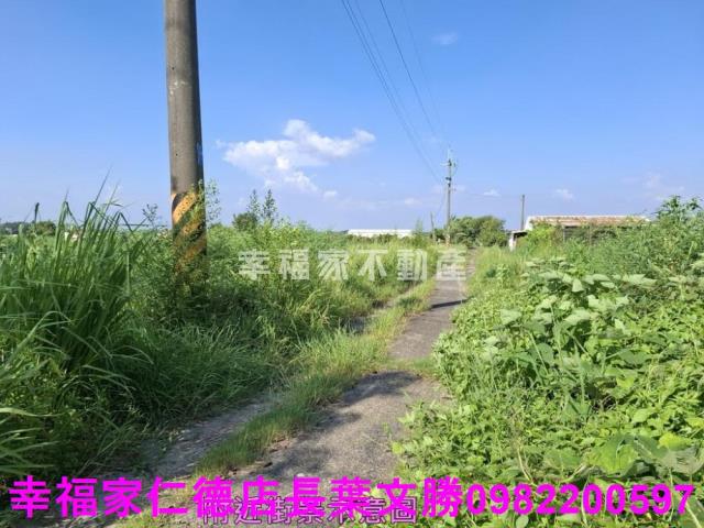 台南新化農地-14